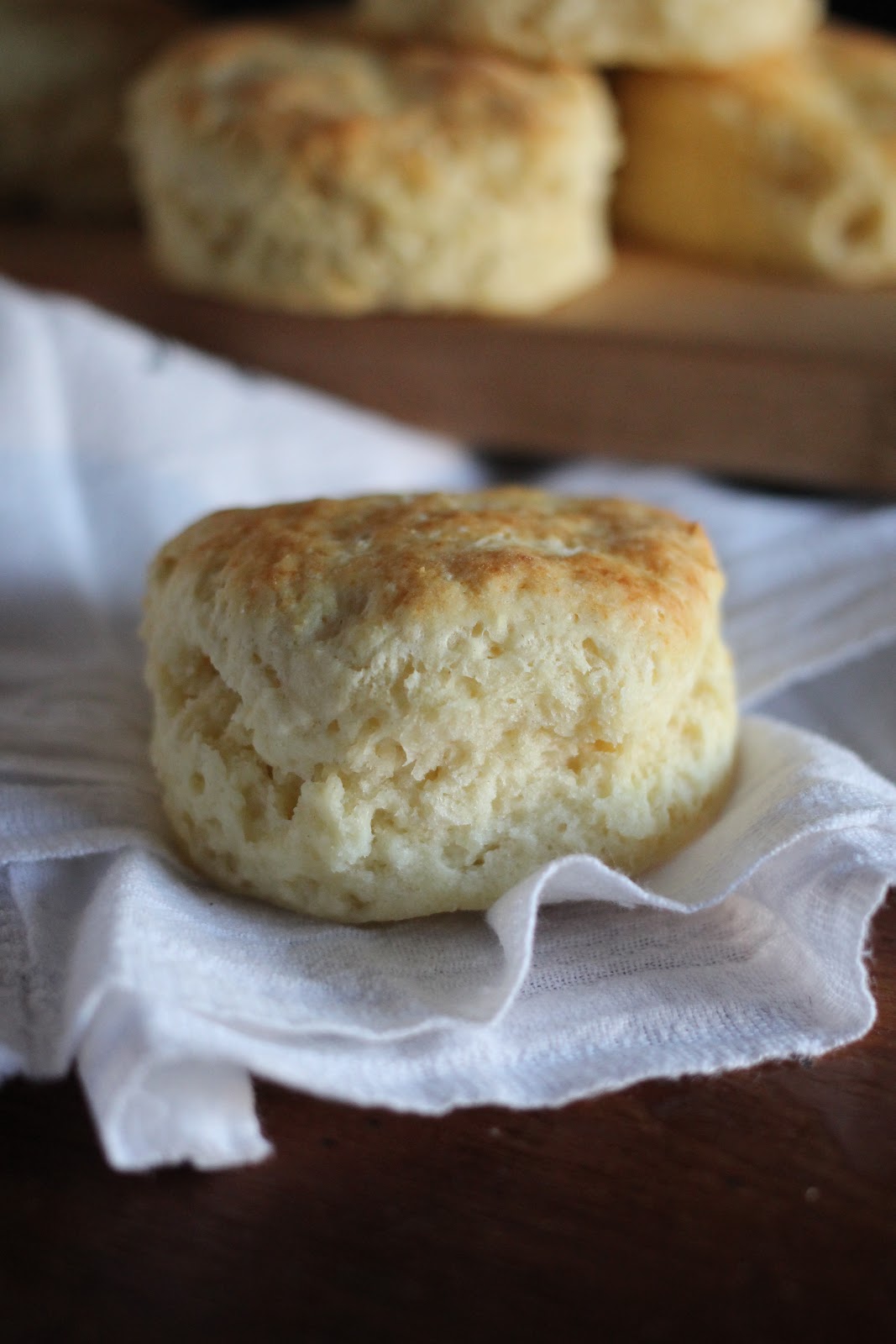 Arctic Garden Studio Quick Buttermilk Biscuits