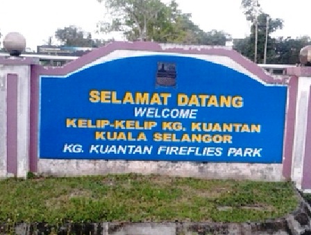 Kelip-Kelip Kg Kuantan Pakej Memancing Bestari Jaya Selangor