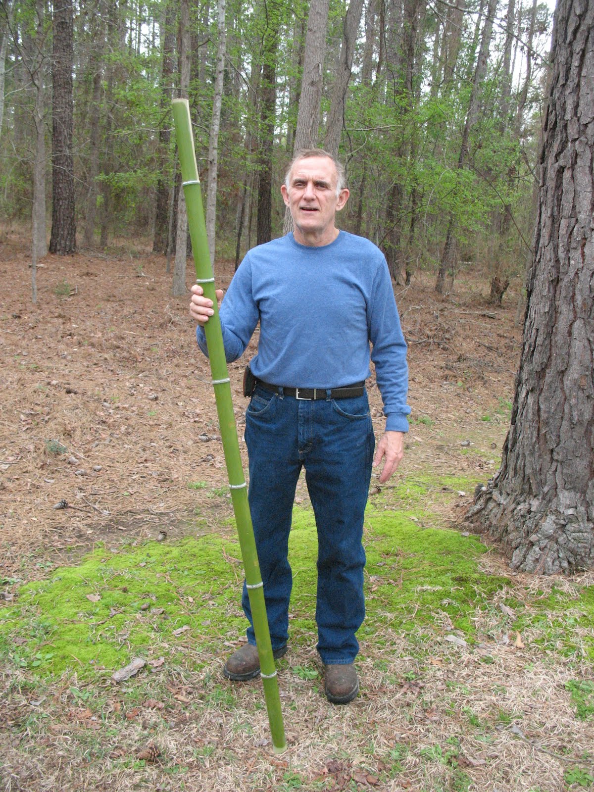 Sensible Survival Build a Bamboo Survival Bow in 30 Minutes