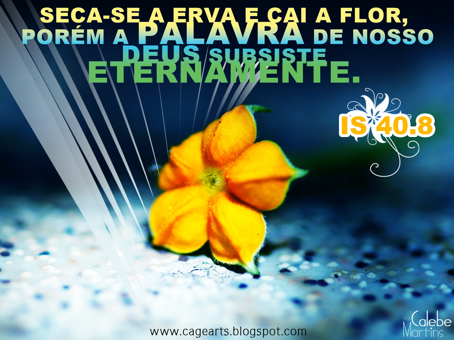 http://4.bp.blogspot.com/-yDnmPNFtNCU/ThtAOxr07jI/AAAAAAAAA8g/lTPFt_EwWHE/s1600/Seca-se+a+erva.jpg