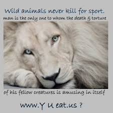 Funny Love quotes animal love quotes ~ Funny Pictures