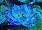 Mavi Lotus / Bir Kurban Efsanesi