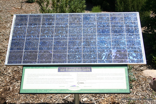 Gardening with Greggo: July 2011