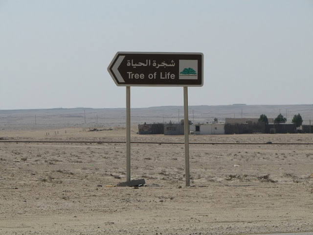 El Árbol de la Vida: Una milagrosa supervivencia en el desierto