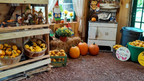 Fall decorations farm market 1