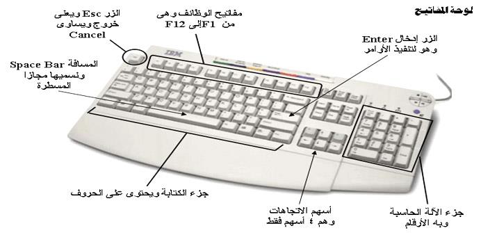 تعد لوحة المفاتيح وحدة إدخال للنصوص