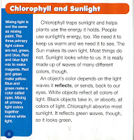 exclusive GBfk excerpt from Investigating Why Leaves Change Their Color exclusive GBfk excerpt from Investigating Why Leaves Change Their Color