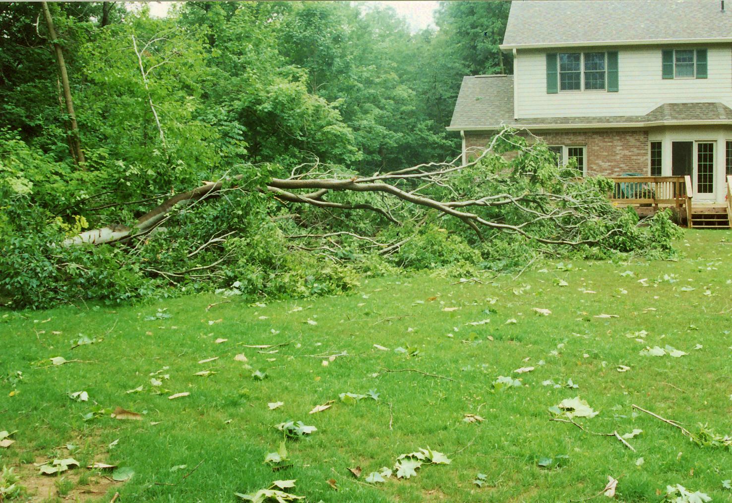 Ramblings Moving on Up