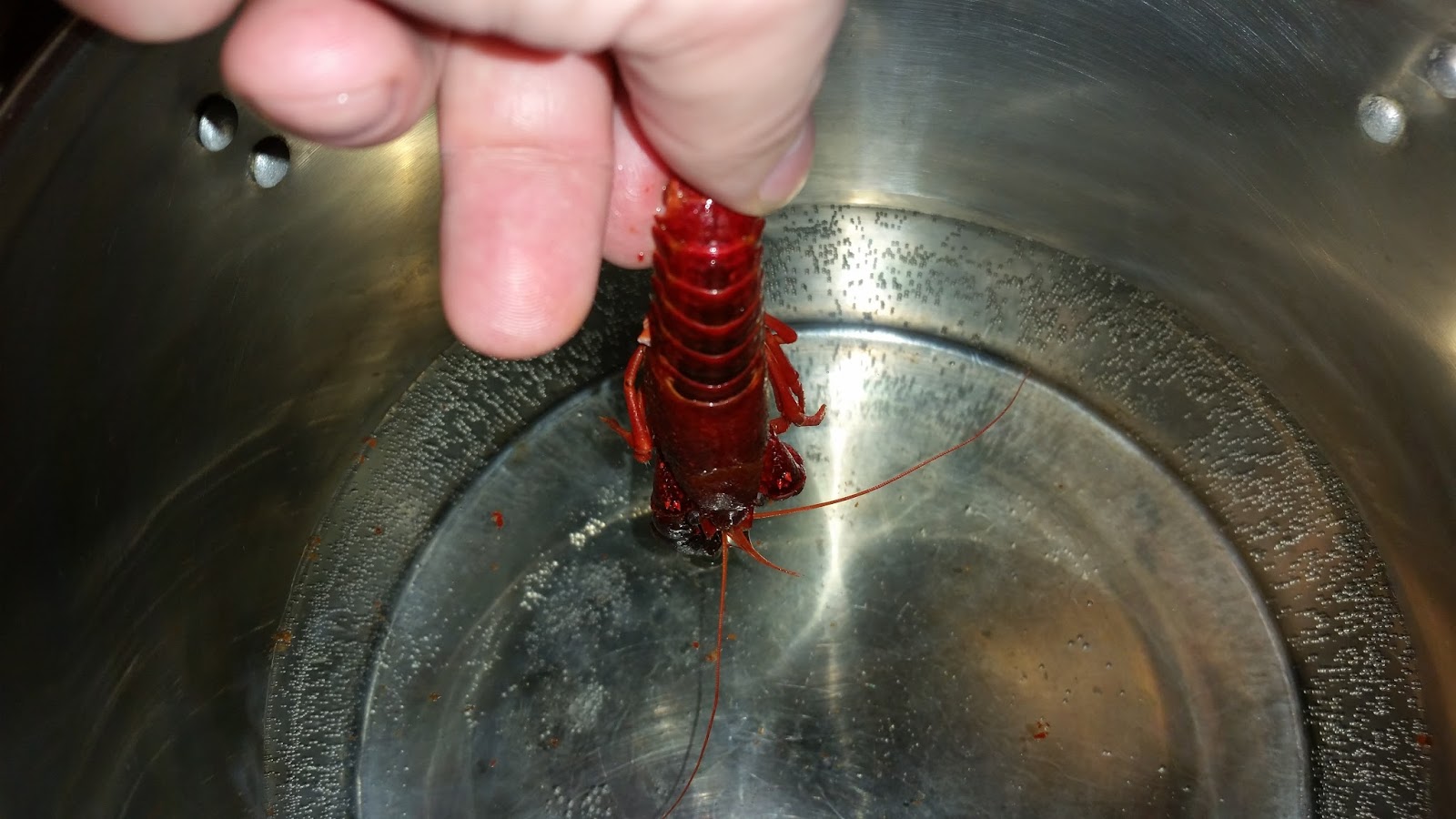 The 7 P's Blog Outdoor Cooking Crawfish The Lobster Of The Backwoods