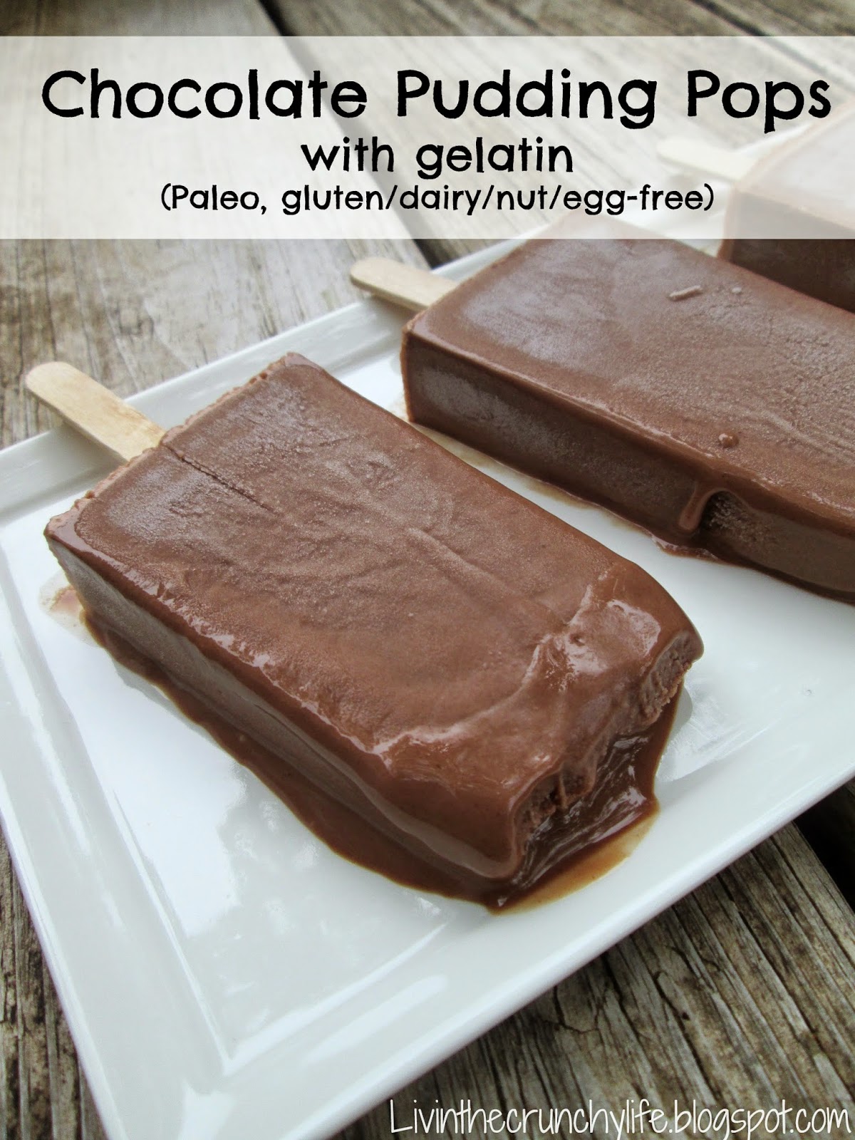 Pudding Pops Chocolate or Banana (Paleo, Gluten/Dairy/EggFree