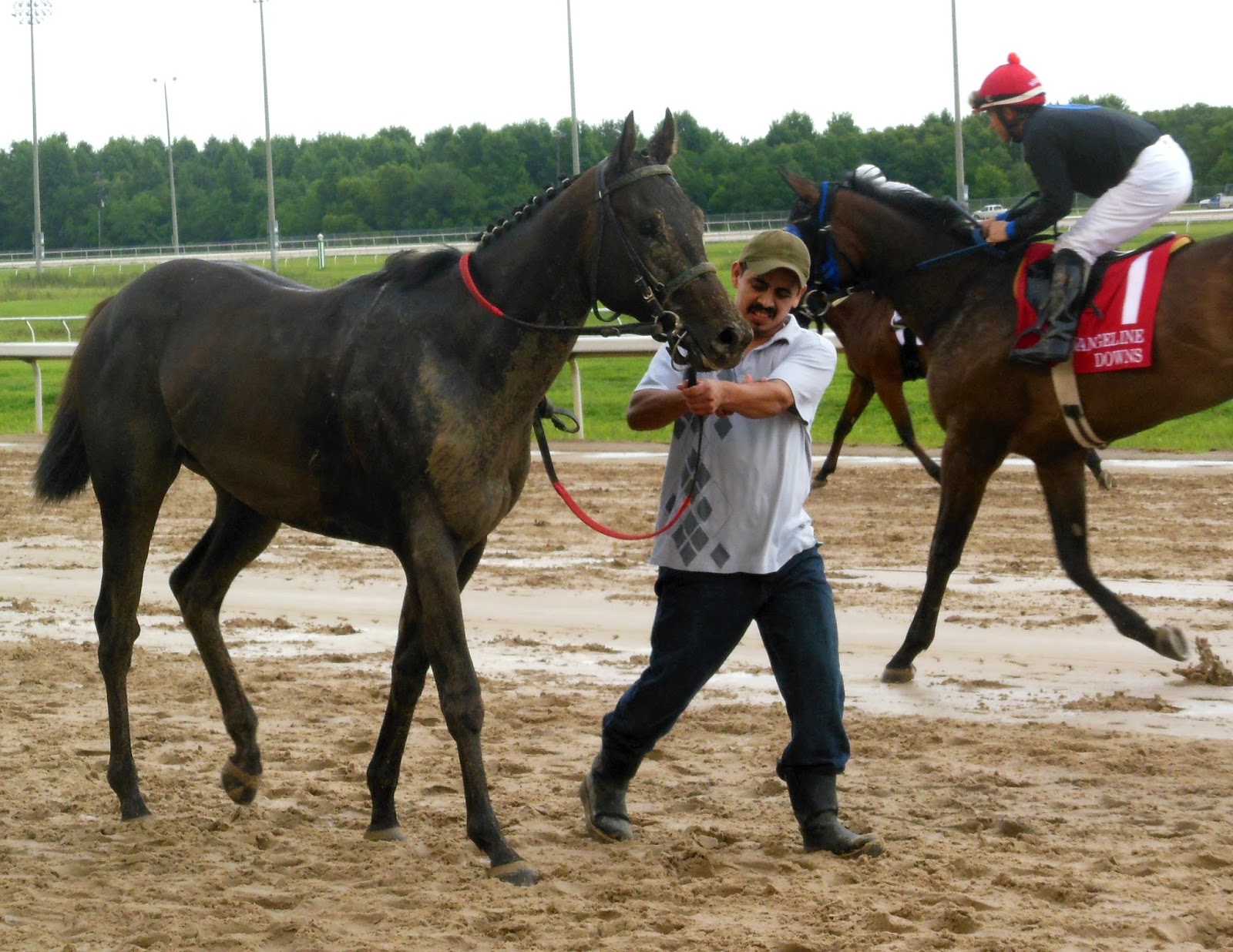 Living Rootless Opelousas Evangeline Downs An Evening at the Races