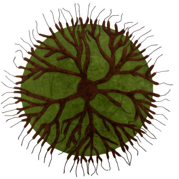 Tree Ring Rug