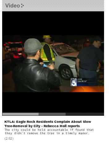 erotic massage parlor reviews