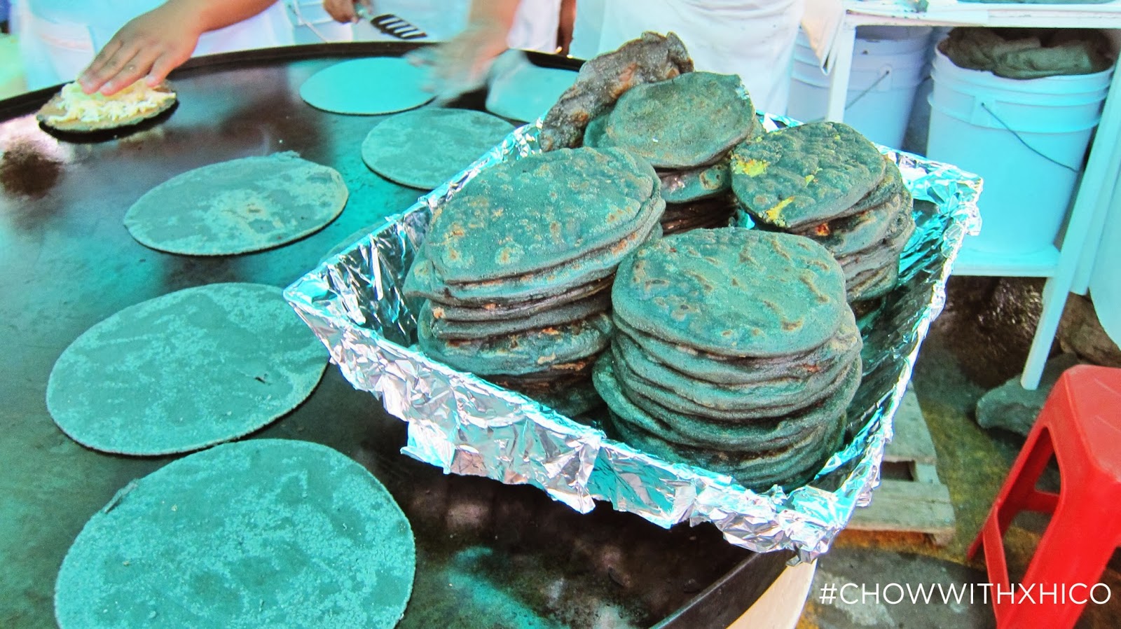 Chow with Xhico True Blue Tortillas I Love You
