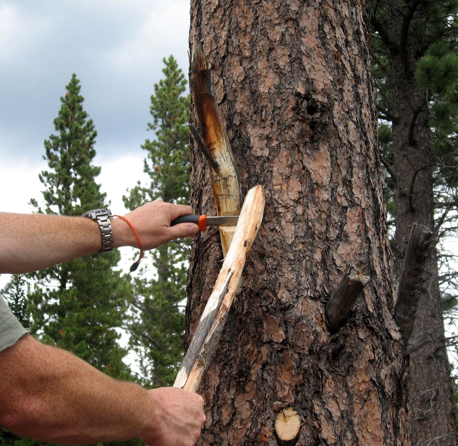 Rocky Mountain Bushcraft Wilderness Survival An easy way to find