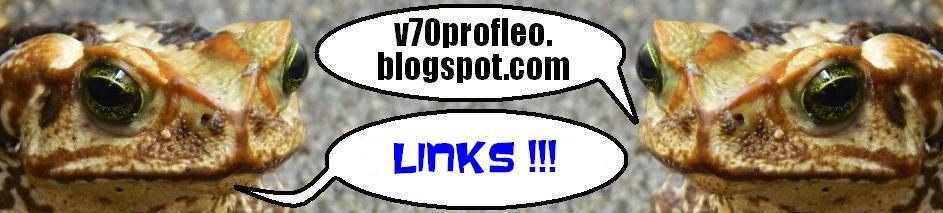 v70profleo-links.blogspot.com