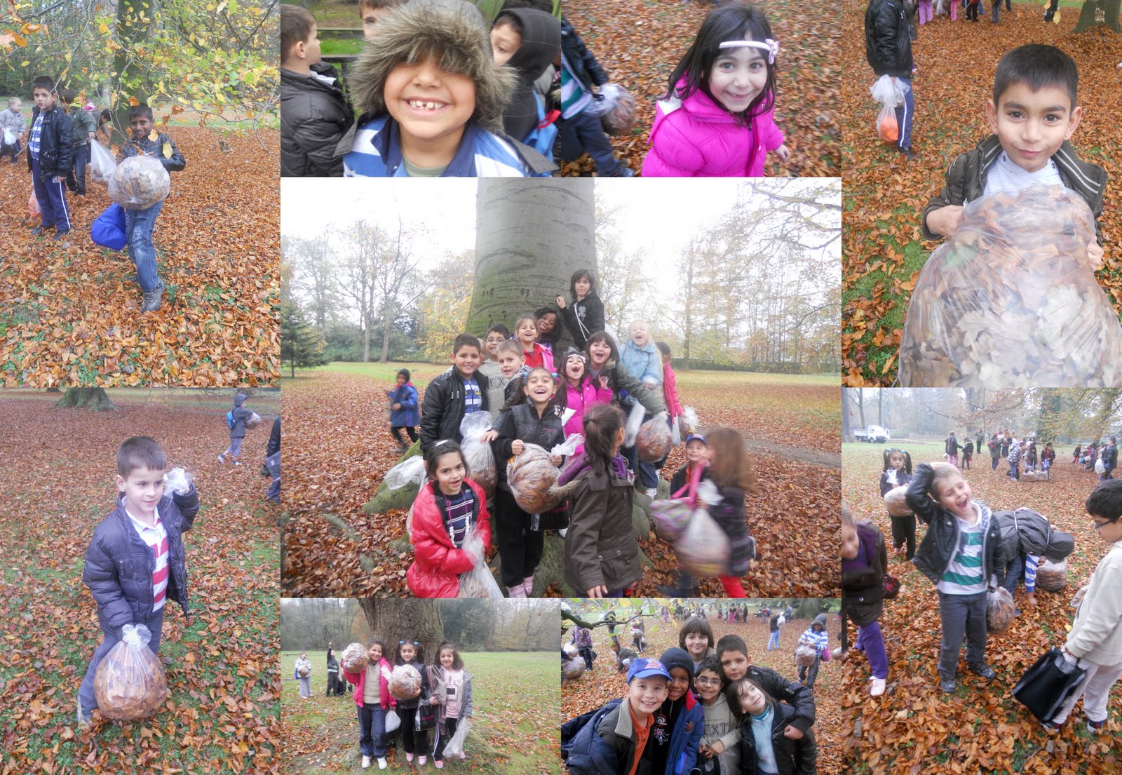 Welkom bij 1/2 C !: Herfstwandeling in Maaltepark
