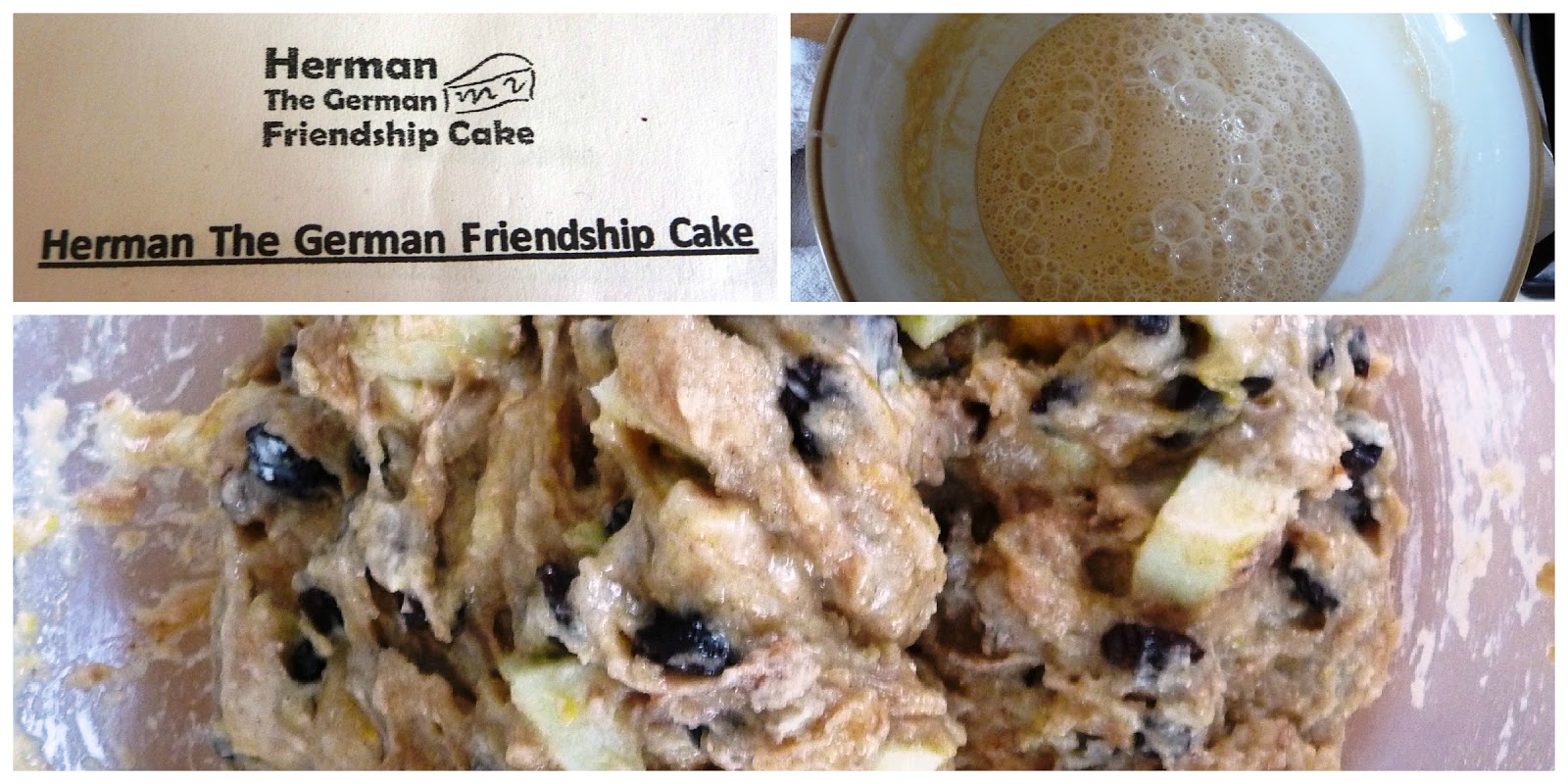 Herman The German Friendship Cake Recipe Uk Herman The German Friendship Cake Recipe Uk