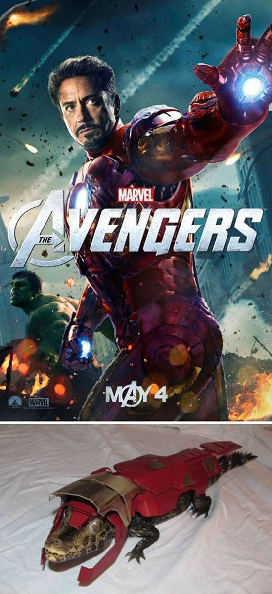 The Avengers Cast Of Animals