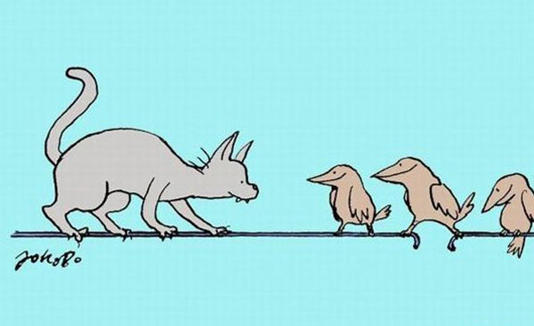 funny_cartoon_cat.jpg