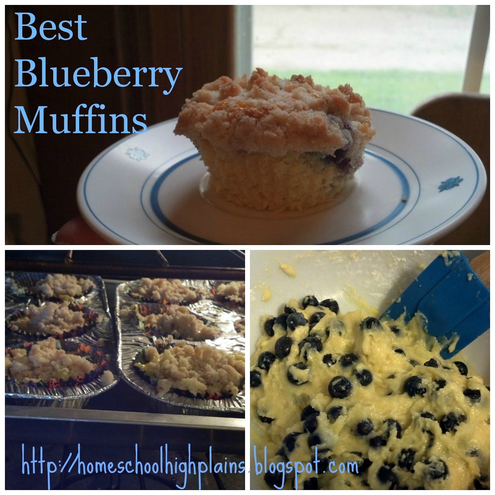 Loving and Learning on the High Plains M is for Muffins