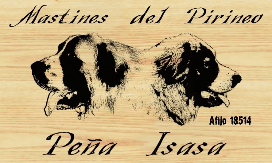 Peña Isasa Mastines del Pirineo