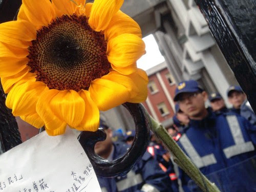 太陽花