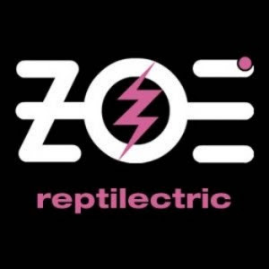 LETRAS DE LA BANDA ZOE letras de la banda zoe: