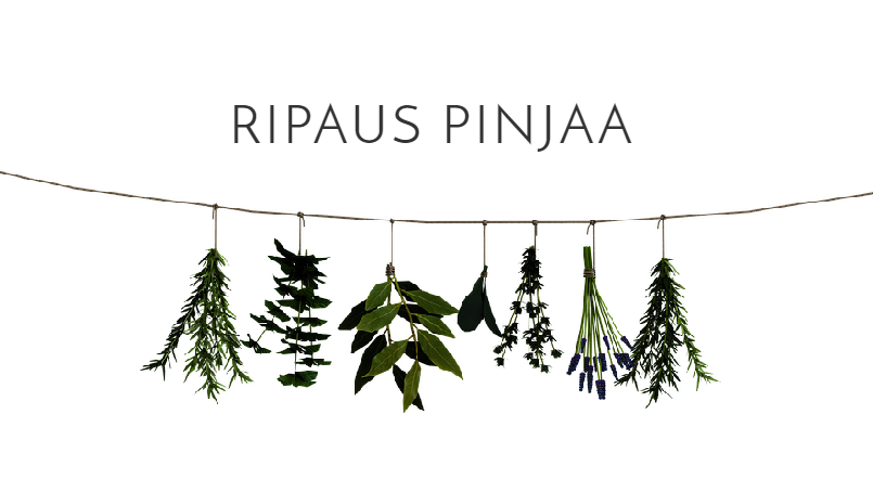 Ripaus Pinjaa