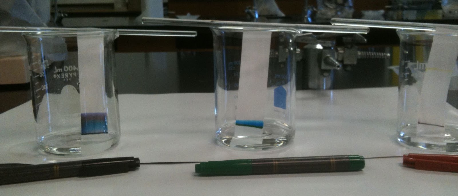 Amy Brown Science Paper Chromatography