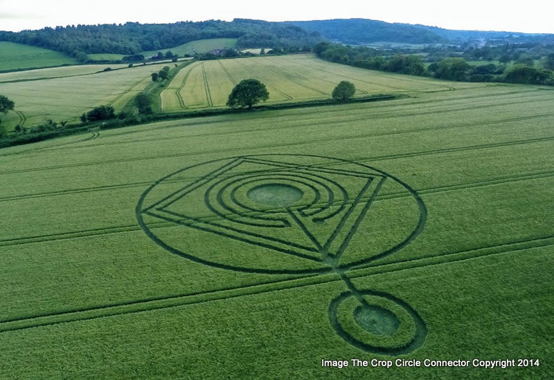 Circulos en las cosechas Crop+Circle+at+Hod+Hill+nr+Hanford,+Dorset+United+Kingdom.+Reported+1st+June+2014