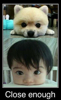 funny cute kid and puppy
