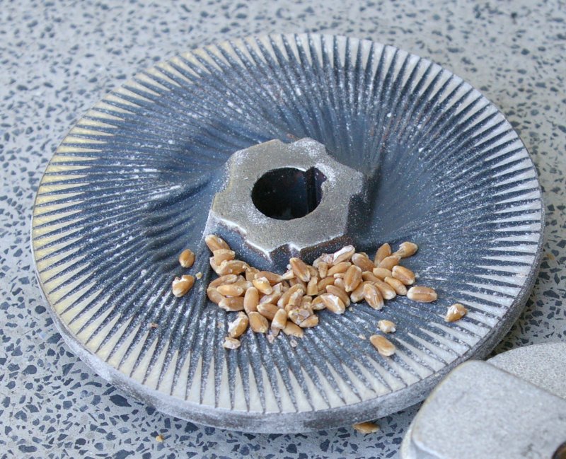 Country Living Grain Mill Review