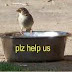 मदद क्यों करे - Madad kyo karen - Why help?