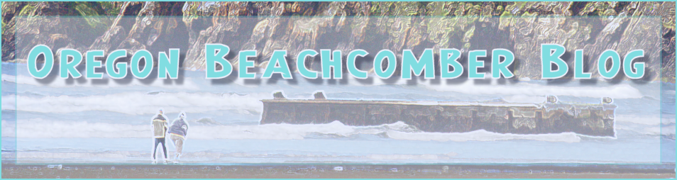 Oregon Beachcomber Blog - What's washing up? 