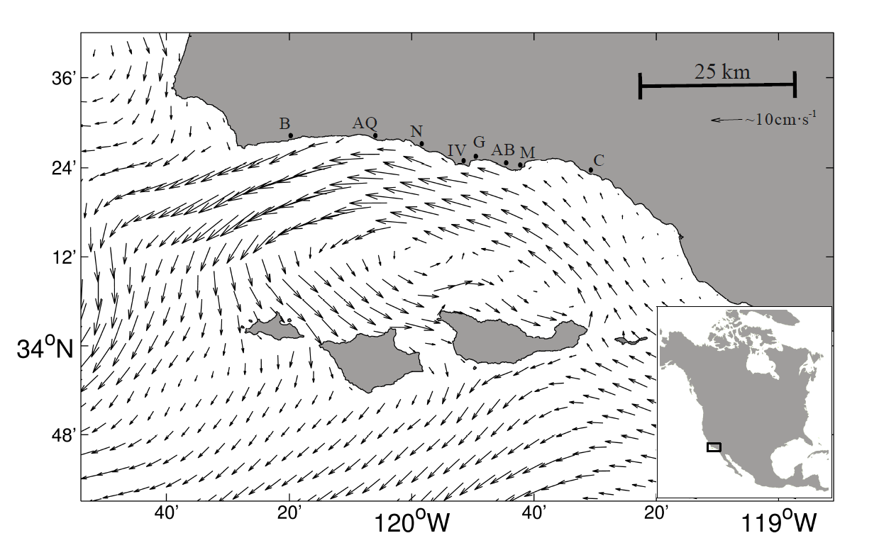 oceanographic transport is used in this project to model connectivity between giant kelp patches the results are contrasted with genetic differentiation oceanographic transport is used in this project to model connectivity between giant kelp patches the results are contrasted with genetic differentiation