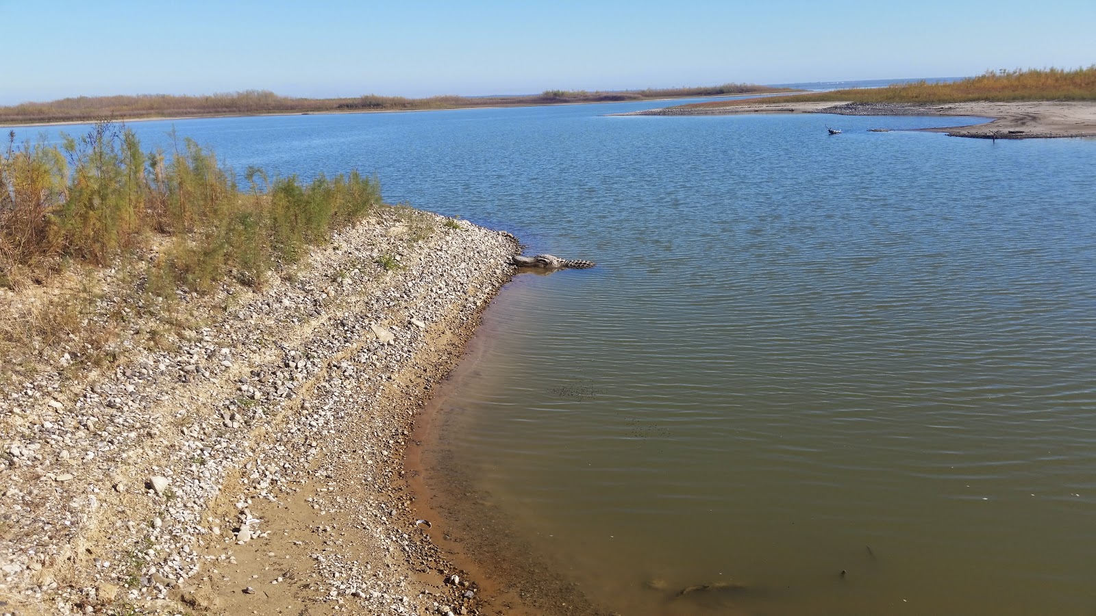 Shifting Gears Choke Canyon State Park