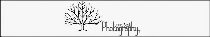 Celena Beech Photography