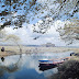 Tes Camera Nikon D3000 IR. versi TOBACO FC