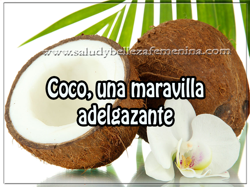 Coco, una maravilla adelgazante Salud y bienestar , coco, una maravilla adelgazante