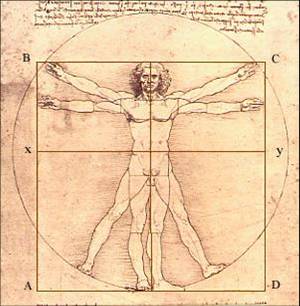 Sezione aurea: arte e architettura Sezione aurea arte