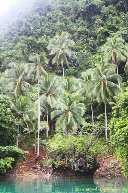 surigao del norte