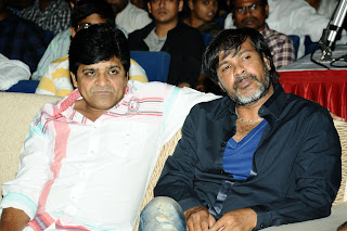 julayi audio Release Function Complete Gallery