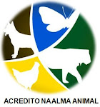 Animais e o Espiritismo