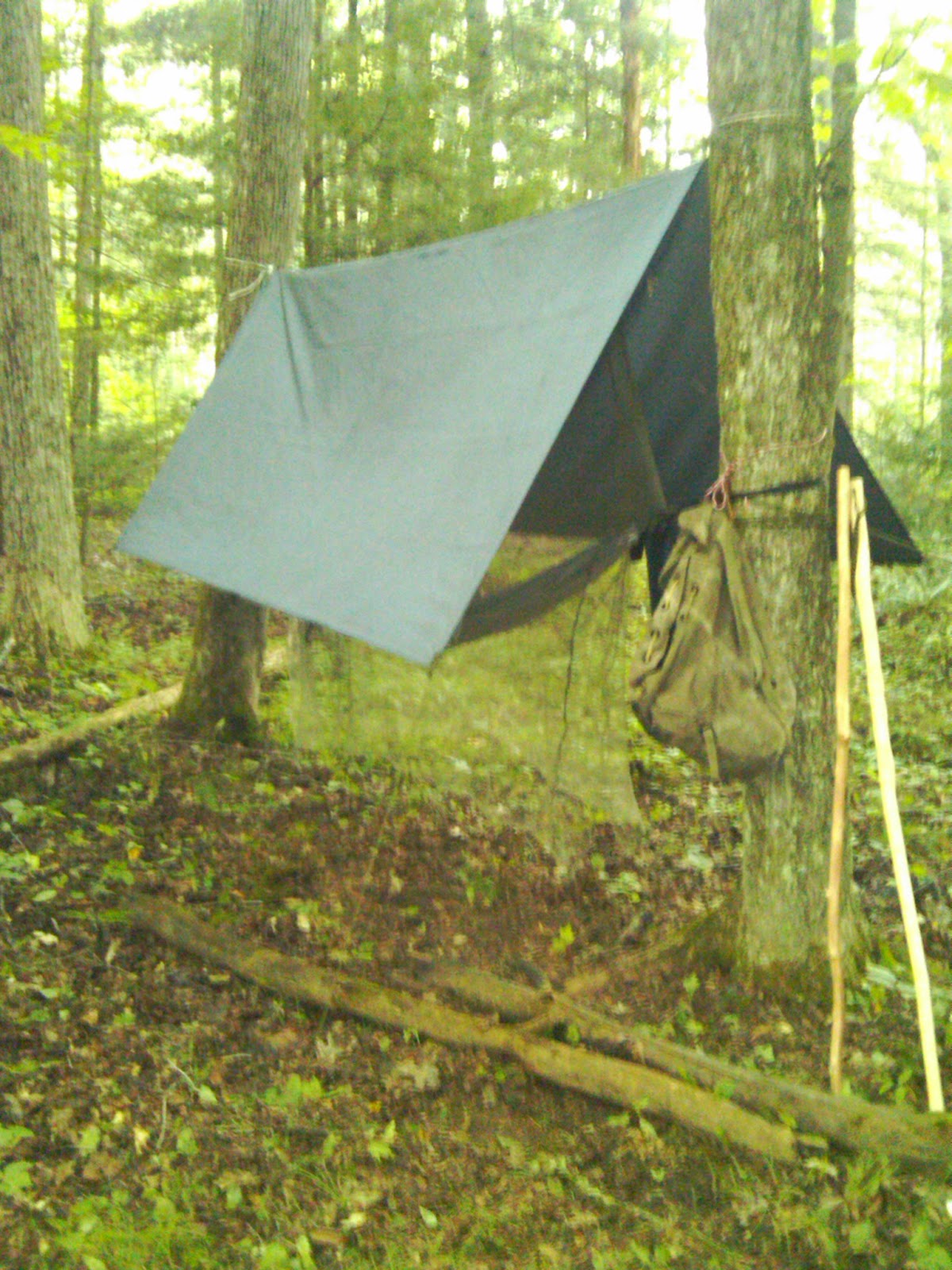 northeast voyageur my homemade