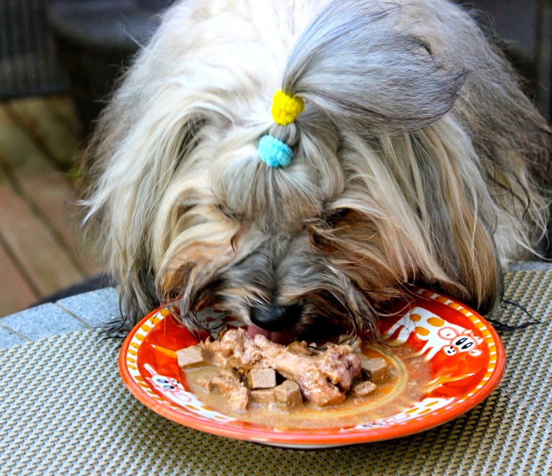 Castor And Pollux Chicken Thigh Canned Dog Food Castor And Pollux Chicken Thigh Canned Dog Food