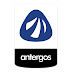 Antergos (2015.04.12-x86_64) - problema com o instalador