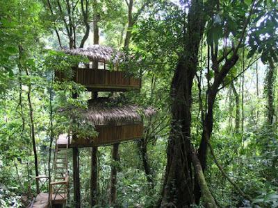 Damn Cool Pics: Finca Bellavista: Incredible Tree House Community in Costa Rica
