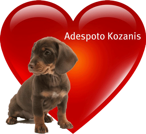 Adespoto Kozanis