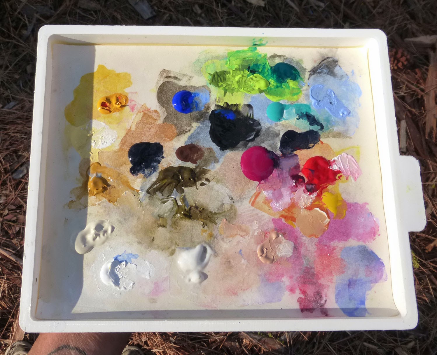 Face Painting Palette Transparent Background Face Painting Palette Transparent Background